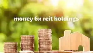 money 6x reit holdings-newsnests