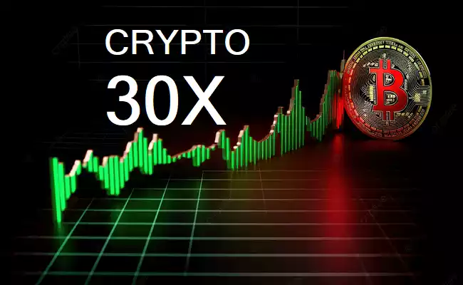 Crypto 30x .com-newsnests