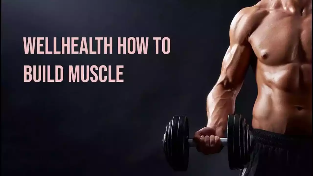 WellHealth How to Build Muscle Tag-newsnests