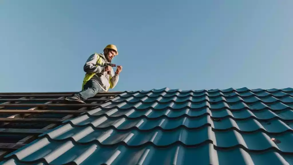 fladderak roof management-newsnests